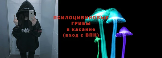 ECSTASY Богородск
