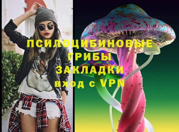 мдпв Богородицк