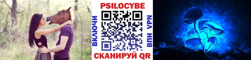 Псилоцибиновые грибы Cubensis  Балей 